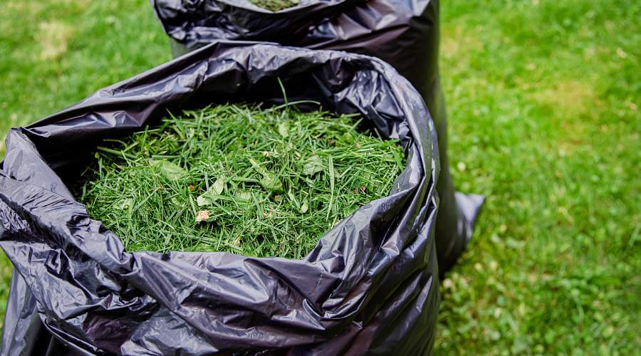 Green Waste Removal