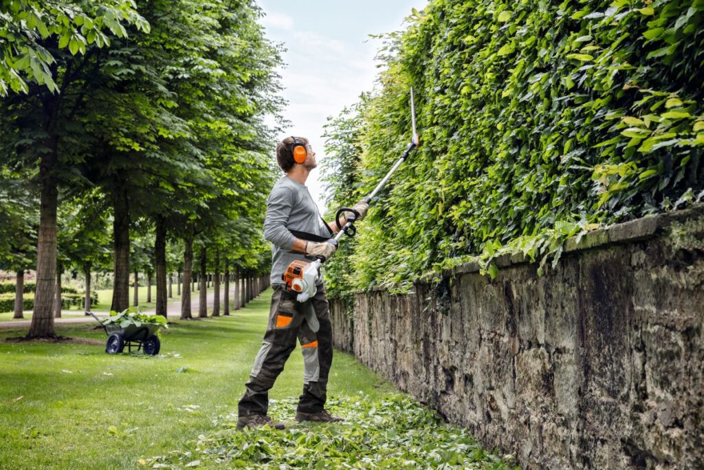 hedge shaping