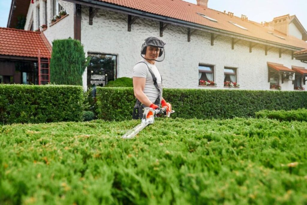 cost of hedge trimming